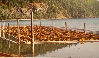 Blakely timber rafts